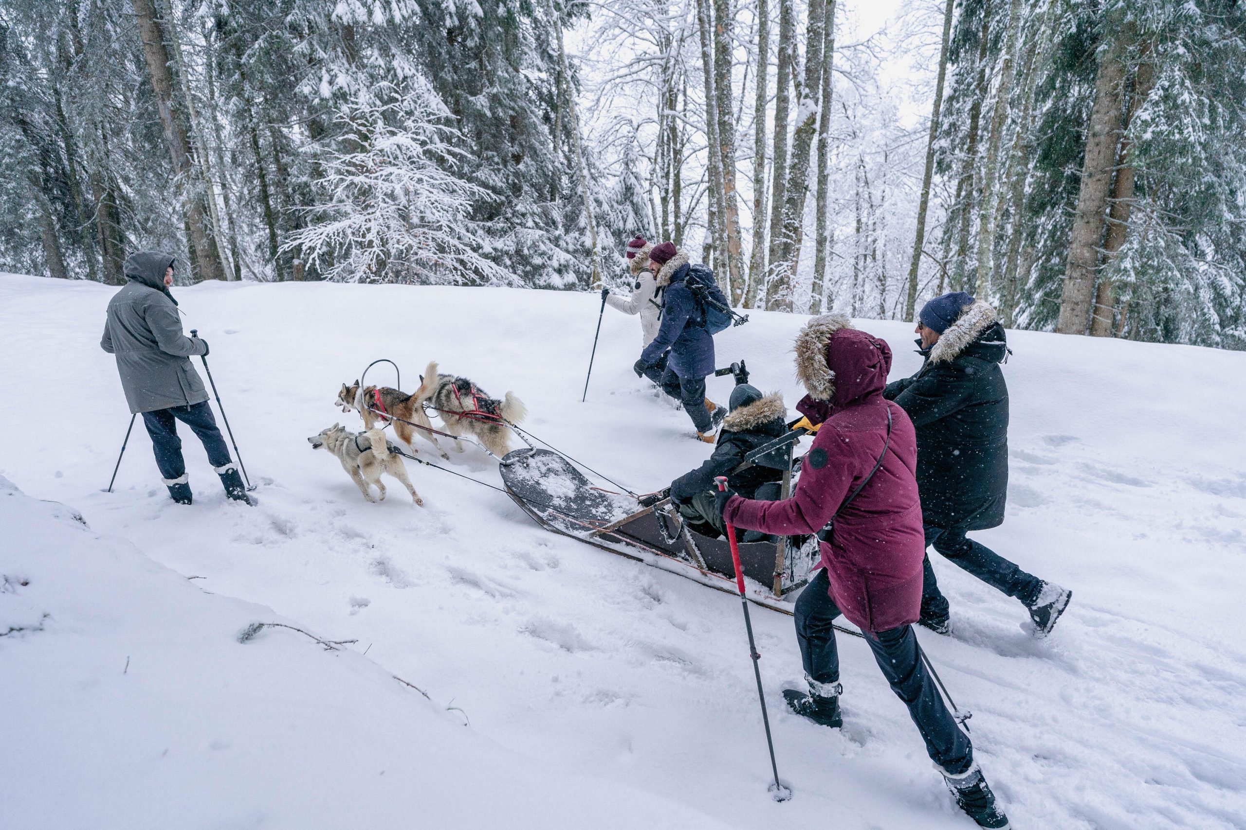 Quechua Women's NH500 Water-Repellent Snow Hiking Pants - Image 23
